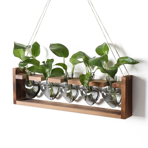 Plant Terrarium Hanging Propagation Stations Gift for Women - color: Gray