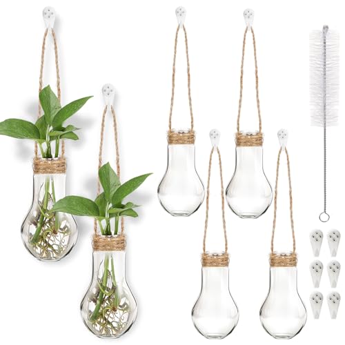 Baderke 6 Pack Hanging Plant Propagation Stations 3.9 Inch Plastic Propagation Vases with Hooks and Cleaning Brush Clear Window Wall Jars for Home, Office, Bathroom Decor, Gift for Plant Lovers