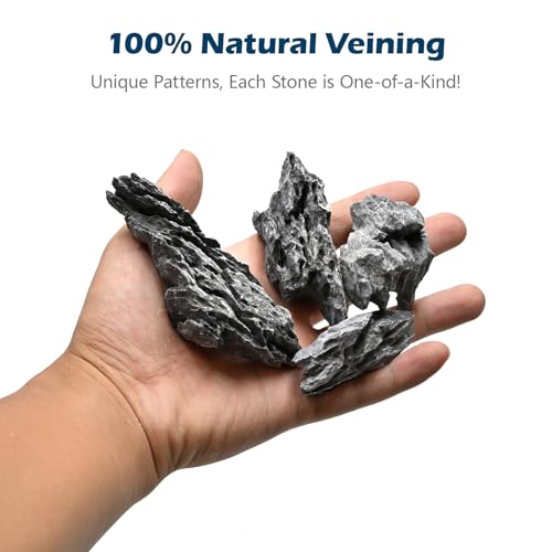 Natural Rocks Seiryu Stone 1-2.5 Inches Decorative Rocks for Fairy Gardens,Miniature Landscaping,Bonsai,DIY Crafts, Aquariums & Reptile Terrariums-2lb - size: 2lb(1-2.5Inch)