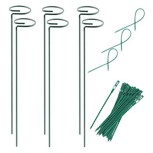 Plant Stake Support - 6 Pack, Garden Single Stem Support Stake 15.9 inch | Plant Cage Support Rings, Single Stem Plant Support Stakes, Plant Twist Ties, for Flowers Amaryllis Tomatoes Peony Lily Rose - size: 15.9inch