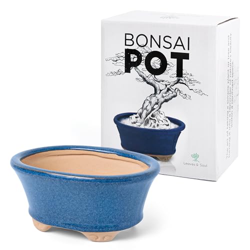 Leaves & Soul Glazed Ceramic Bonsai Pot, Blue Oval Bonsai Planter for Home | Durable Bonsai Tree Pot with Drainage for Succulents & Small Plants; Blue Bonsai Pot for Indoor & Outdoor Use - color: Blueoval23