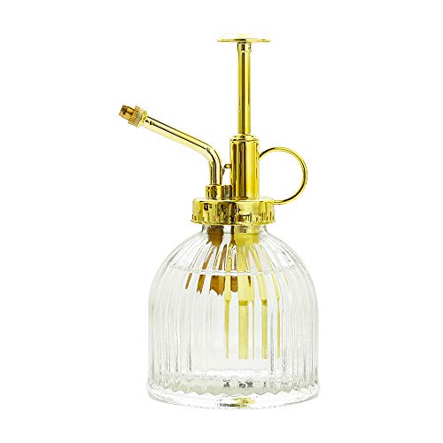 Glass Plant Mister Spray Bottle, Vintage Plant Water Spritzer, Succulent Watering Bottle with Gold Top Pump, Decorative Glass Sprayer Mister Small Watering Can for Indoor Houseplant - Clear - color: Clear+Gold S