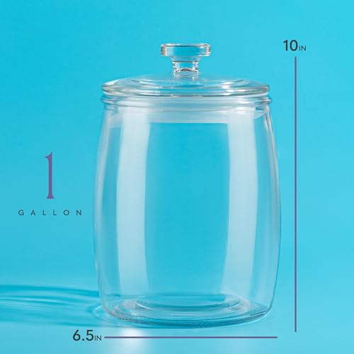 Large Glass Cookie Jar with Airtight Lid - 1 Gallon Storage Container for Candy, Flour, Sugar, Pet Food & Dog Treat Canister - Pack of 1