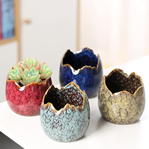 Simcat Succulent Pots with Drainage Half Dragon Egg Shell Design Sets 4 PCS