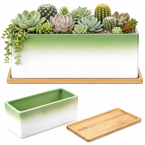 Succulent Pot 12 Inch Large Succulent Planters with Drainage Ceramic Bonsai Pot with Bamboo Tray Rectangle Shallow Planter for Indoor Cactus Flower Planter Window Box for Home Garden Decor (Green) - color: Green, style: Rectangular