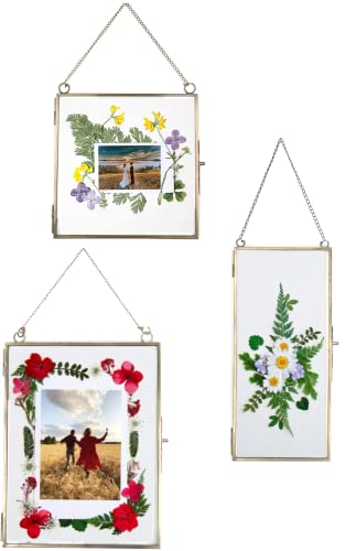 Double Glass Frame for Pressed Flowers, Leaf and Artwork - Set of 3 Hanging Picture Frames, 6x6, 6x8, 4x9 Floating Pressed Flower Frames, Square and Rectangular Wall Decor Photo Display, Clear Metal - color: Bronze