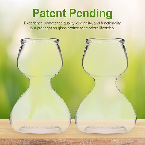 Garden Guru Plant Propagation Stations - Clear Glass Bud Vases Set of 32 - Mini Vases for Wedding Centerpieces, Cafe Décor, Tea Shop Displays - Small Hydroponic & Flower Vase - size: Set of 32
