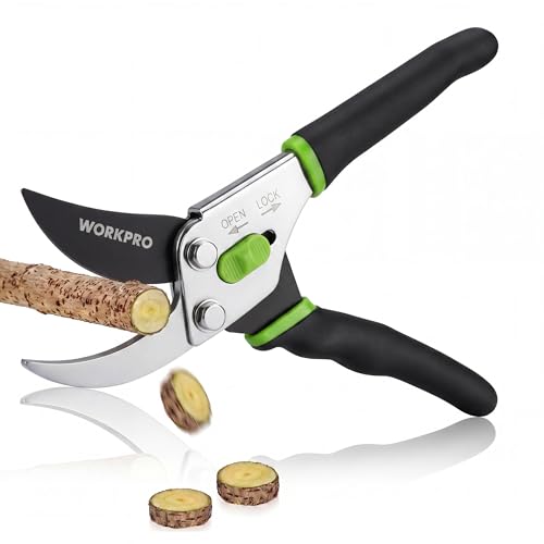 WORKPRO 8.5" Bypass Pruning Shears, Garden Shears with Non-Slip Grip Handle | Heavy Duty Garden Clippers with High Carbon Steel for Branches, Flowers, Fruits, Plants, Gardening Gifts for Women Men