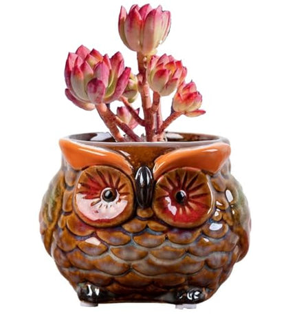 Animal Shaped Planter Flower Pot Owl Shape Small Succulent pots with Drainage Ceramic Animal Planter, Indoor Plant Container Planter with Drainage Hole Home Office Desk Garden (Red Owl) - color: Red Owl