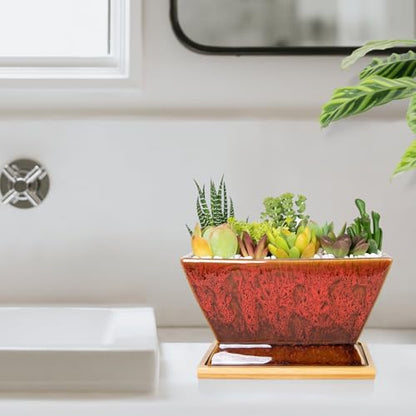 Succulent Pots, 7'' Large Plant Pot with Drainage, Shallow Planters - color: Red