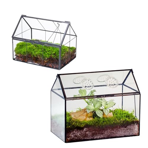 NCYP Mini Glass Terrarium with Lid, Glass Terrarium with Lid and Air Holes, for Small Cactus, Succulents Plants