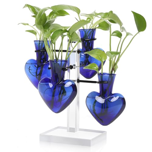 Plants Propagation Stations Plant Terrarium Kit Gift for Women - color: Blue