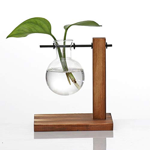 Kingbuy Glass Planter Bulb Vase Desktop Plant Terrarium with Retro Solid Wooden Stand for Propagation Hydroponics Water Plants Home Garden Office Decor - size: A（1 Bulb Vase）
