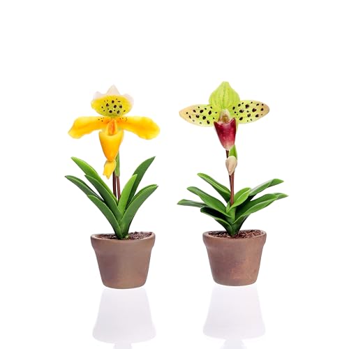 Lady Slipper Orchid and Paphiopedilum Sukhakulii Miniature Flowers Japanese Clay in Ceramic Pot Premium 3D Fridge Strong Magnets Flower Plant for Refrigerator, Locker, Memo Holder Kitchen - color: Yellow