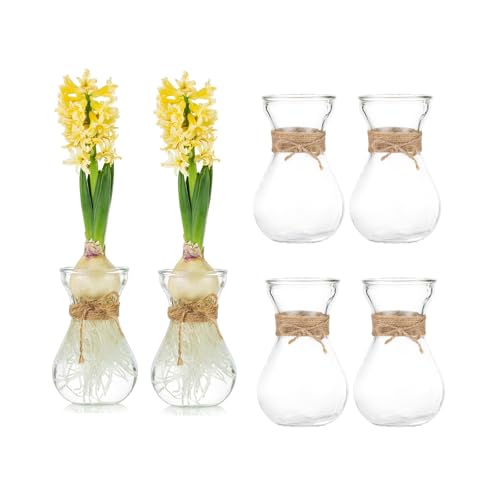 Glasseam Clear Glass Vase for Flowers, Set of 6 Bulb Vase for Forcing Hyacinth Bulbs, Small Vases for Centerpieces, Decorative Bud Flower Vase for Home Decor Living Room Wedding Table Decorations - size: 6Pcs