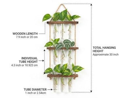 Plant Propagation Hanging Station, 3 Tier Wall Hanging Terrarium with Wooden Stand, Flower Vase Test Tube Glass Planter Stations for Hydroponic Cuttings, Home, Garden, and Office Decor