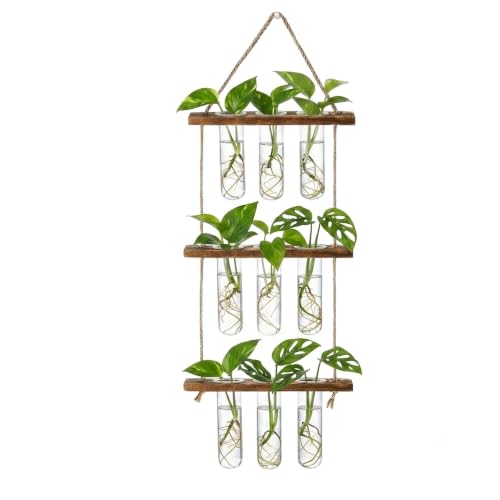 Plant Propagation Hanging Station, 3 Tier Wall Hanging Terrarium with Wooden Stand, Flower Vase Test Tube Glass Planter Stations for Hydroponic Cuttings, Home, Garden, and Office Decor