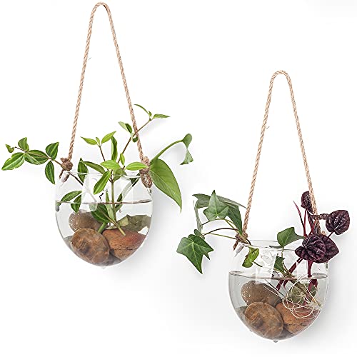 2 Pack Terrariums Container Flower Planter Hanging Glass for Hydroponic Plants Home Garden,Home Office Living Room Decor,Oblate Shape