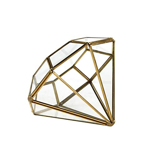 WGV Geometric Planter Terrarium, Width 5.3" Height 6" Clear Glass Gold Frame DIY Succulent air Plant Miniature Fairy Garden Windowsill Tabletop Decor, Diamond 1 Piece - color: Gold, size: Diamond 6"