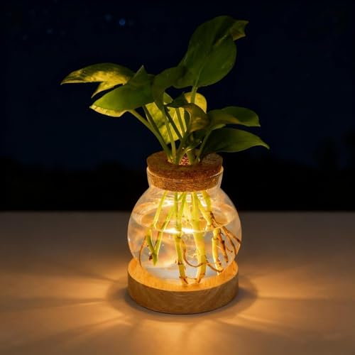Plant Propagation Station with Light,Everkeen Valentines Day Glass Terrarium with Stepless Dimming Function Hydroponic Glass Container Vase Jars Gardening Gifts for Mom Women Plant Lovers - color: Clear 1 Pack