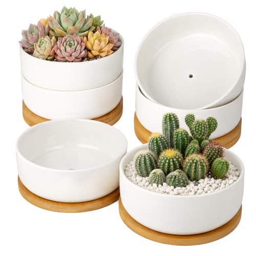 ZOUTOG Succulent Pots,6 Inch Succulent Planters with Drainage and Tray,White Ceramic Planters for Indoor Plants,Round Shallow Flower Plant Pots,Pack of 6 - color: 6 Pack