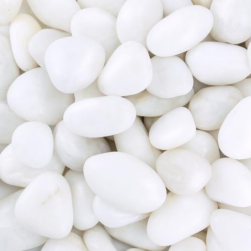 River Rocks for Landscaping, 20lbs White Pebbles for Indoor Plants, 1-2 Inch Decorative Rocks for Planters, High Polished Stones for Vase Filler Fish Tank Garden - size: 1-2 inch, style: 20 lbs