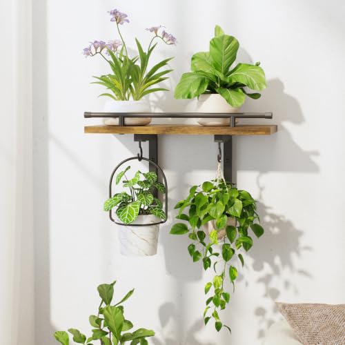 LASZOLA Wall Plant Shelves Floating Hanger Holder Indoor, Brown | Window Stand with Hooks, Metal and Wood, Flower Hanging Display Rack for Bedroom Living Room Bathroom Kitchen Decor - color: Dark Brown, size: 1