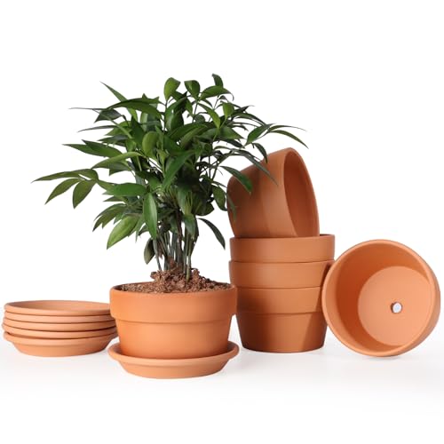 INGOFIN 5 Inch Terracotta Shallow Pots Set with Saucer - Ceramic Clay Pots with Drainage Hole, Terra Cotta for Plants for Indoor Outdoor Plants, Set of 6 - size: Shallow 5 inch-6 pcs