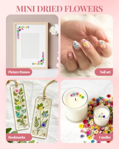 560 PCS Mini Dried Flowers for Resin, Small Dried Flowers for Crafts, Mini Dried Flowers for Resin, Dried Flowers for Resin Art, Jewelry, Earrings, Epoxy Molds, Candle, Soap and DIY
