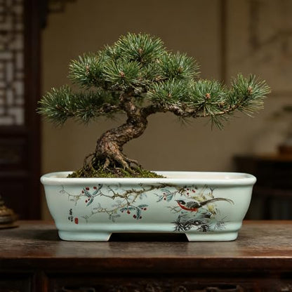 8" Bonsai Pots with Tray, Rectangular Planter in Blue & White - color: Blue Flower and Bird