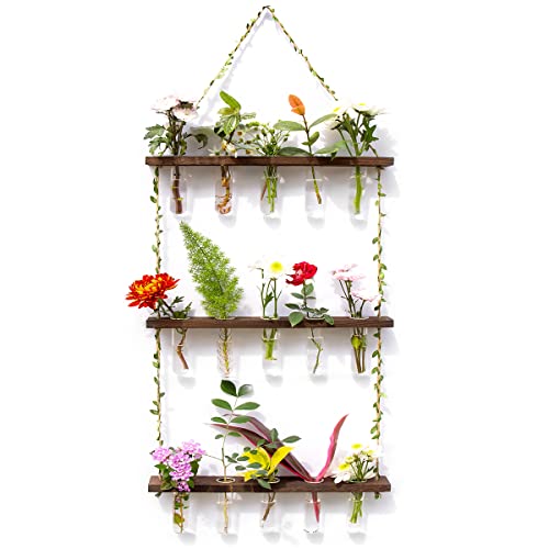 Propagation Stations, Wall Hanging Plants Terrarium with Wooden Stand Test Tube Vase Air Planter Holder Come with Hook and Brush for Hydroponic Plants Cutting Home Office Garden Decor (Brown)