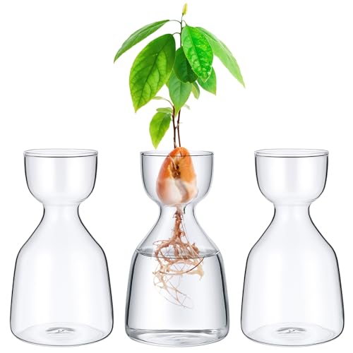 3 Pcs Acorn Vases Glass Avocado Vase Avocado Glass Vase for Growing, Hydroponics Terrariums Pot Deco Indoor Bulb Vasees Propagation Vases for Home Table Desk Indoor Decor Gardening Lover Gifts