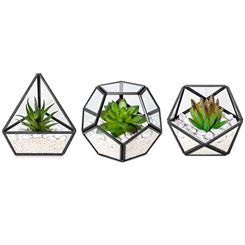 Mkono 3 Pack Fake Succulent in Geometric Glass Terrarium Black Office Decor | Lifelike Mini Fake Plants, 3 Shapes Metal Frame Pots, Fits Desk Shelf Office Home, No Maintenance, Gift Idea for Women Girls - color: Black