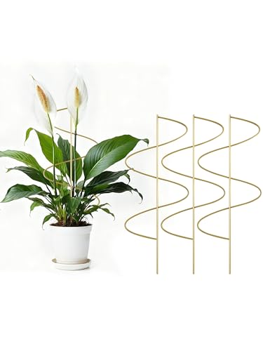 4 Pack Small Wavy Trellis for Potted Plants Indoor, 15 in Garden Trellises for Climbing Plants Outdoor, Single Stick Metal Climber Support Stakes for Vine Ivy Hoya Flower (Golden) - color: Golden