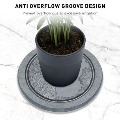 Azhou 2-Pack Absorbent Diatomaceous Earth Plant Saucers with Velvet Bottom - size: 8 INCH