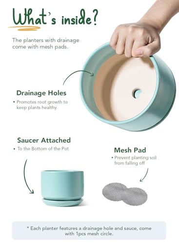 LE TAUCI Ceramic Plant Pots, 4.3+5.3+6.8 inch, Set of 3, Planters with Drainage Hole and Saucer, Indoor Flower Pot with Hole Mesh Pad, Gifts for Mom, Aqua - color: Aqua