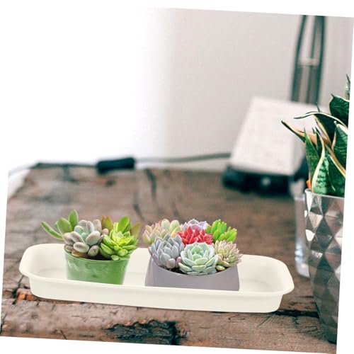 Healeved 3pcs Plastic Flowerpot Trays Rectangular Plant Saucer Elegant Square Plant Water Plate Bonsai Water Trays - size: 24.00X8.50X2.50CM
