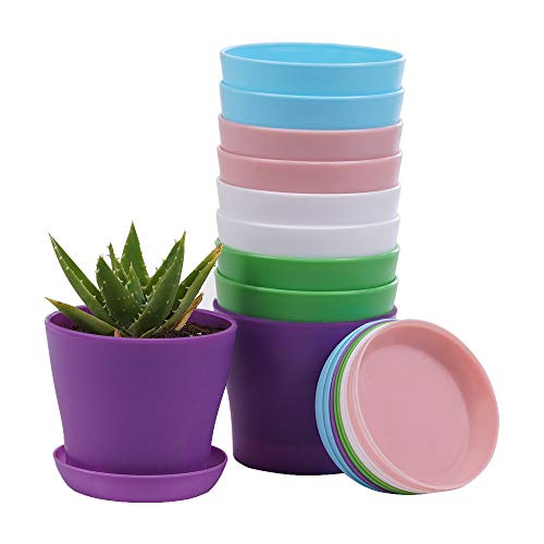 TDHDIKE 10 Pcs Plastic Planters Indoor Pots with Pallet | Mini Flower Seedlings Nursery Pot, Modern Decorative Gardening Containers - color: Pink / White / Purple / Blue / Green