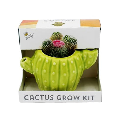 Buzzy Seeds Mini Cactus Grow Kit 4-Pack, Cactus-Shaped Ceramic Pots