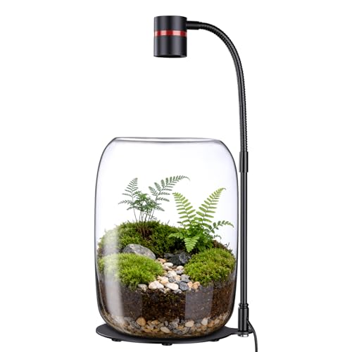 Glass Terrarium Jar with 5W LED Grow Light, 8.7 Inch