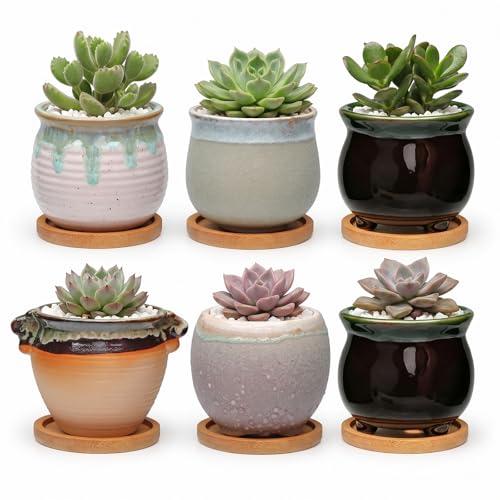 3.5 Inch Succulent Pot with Drainage,Planting/Flower Pots - size: 3.5inch-6pack