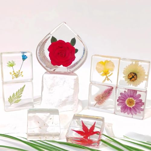 9 Pcs Real Flowers in Resin Specimen Paperweights - Pressed Flower Paper Weights, Taxidermy Botanical Collection for Home Desk Decor, Science Education, Nature Plant Display Supplies Gifts(Big Rose) - size: 9 Flower+