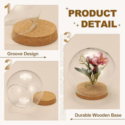 uxcell Round Cloche Glass Dome, 7.9" x 5.9" Decorative Glass Display Bell Jar, Glass Dome Cloche with Light Brown Base for DIY Flower Craft, Collectibles Specimens Plants Dustproof - size: 7.9" x 5.9"