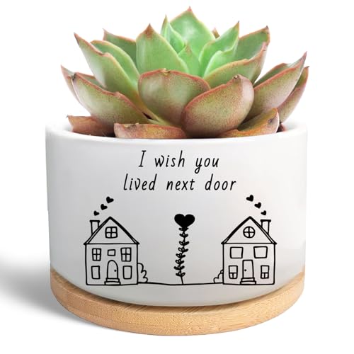 Friend Gifts for Women, Cute Succulent Plant Pot (Plants Not Included) | I Wish You Lived Next Door, Flower Planter, Friendship Long Distance Relationship Gifts for Women Best Friend - style: I wish