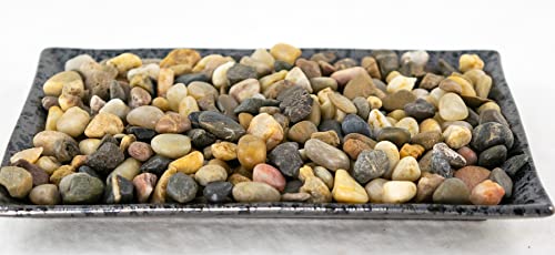 7.75" Rectangular Black Stain Ceramic Humidity/Drip Tray for Bonsai Tree and House Indoor Plants + Rock (7.75C+R)