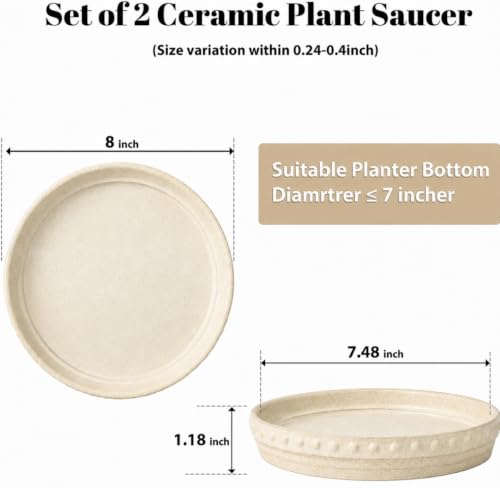 Plant Saucers, Plant Trays to Catch Water, 2 Pcs 8" Ceramic Saucer | Flower Pot Saucers fit pots up to 7", hand-painted antique beige ceramic, catches excess water to protect floors - color: Beige White