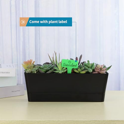 Window Box Planter with Tray, 12" Rectangle Plant Pot, Pack of 3 (Black) - color: Black