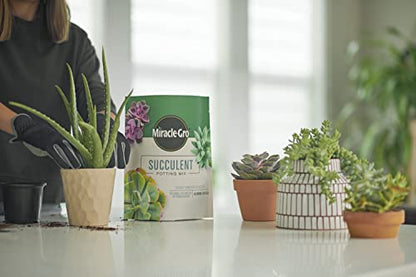 Miracle-Gro Succulent Potting Mix, 4 qt. (2-Pack) - size: 2 Pack, style: Succulent