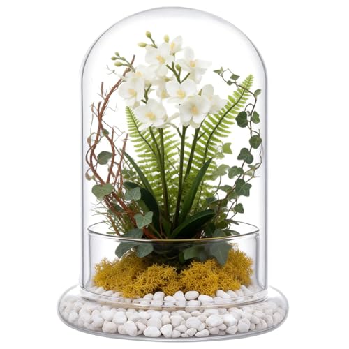 UNICRAFTALE 6.1" Inch High Clear Cloche Glass Dome with Base Handmade Glass Cloche Antique Collectibles Dome Showcase Decorative Bell Jar for Plants Fairy Lights Medal Photos Table Decor - size: 6.1" Inch High