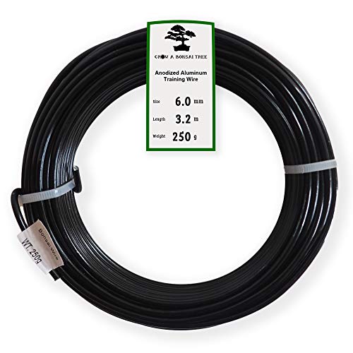Anodized Aluminum 6.0mm Bonsai Training Wire 250g Large Roll (10.5 feet) - Choose Your Size and Color (6.0mm, Black) - color: Black, size: 6.0mm